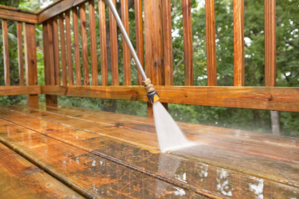 Best Roof Washing  in Shingle Springs, CA